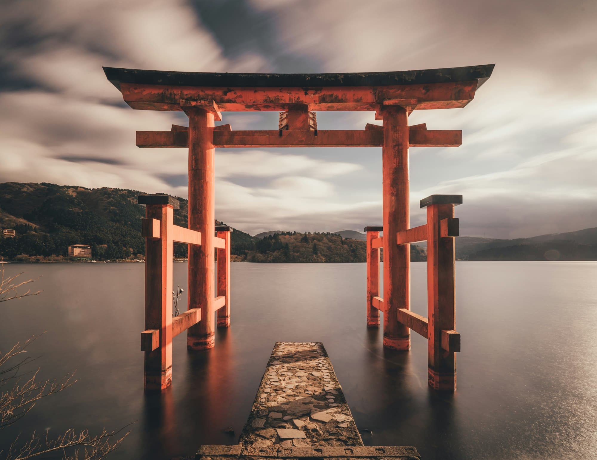 Study Japanese